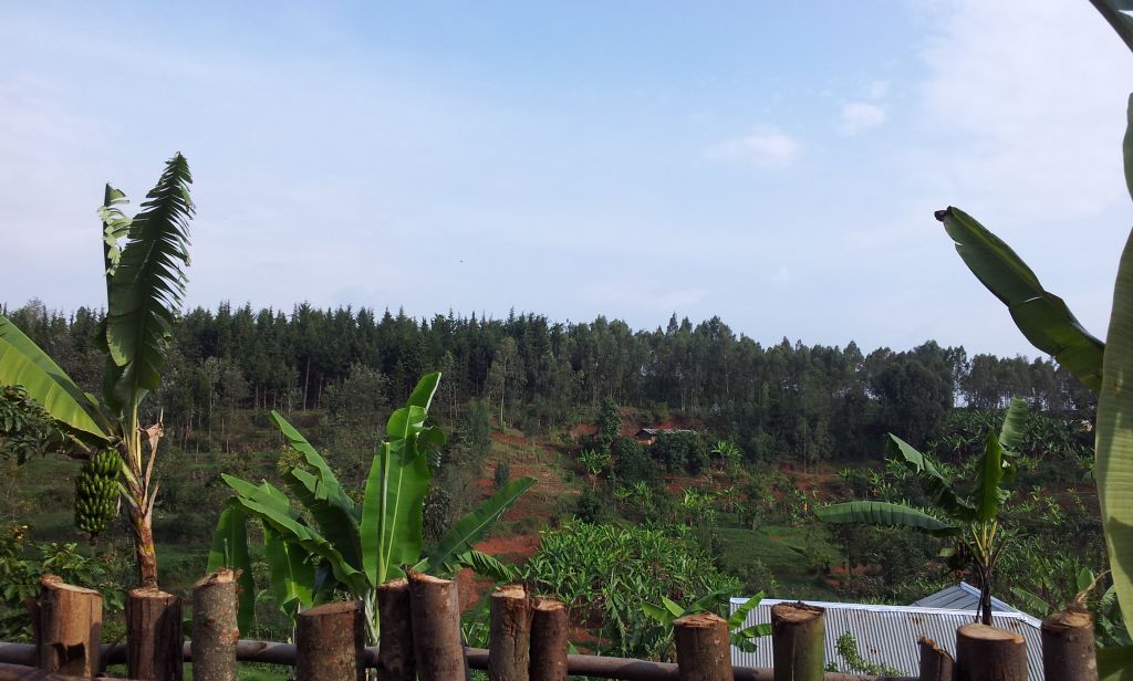 Rwanda_26_10_2013_002